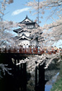 Osaka castle