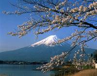 mt fuji