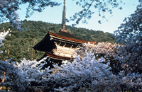 Kiyomizu temple kyoto