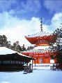 Konpon daito