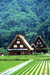 Kyoto