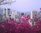 Seoul Korea