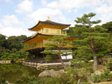 Indepth Japan Tours