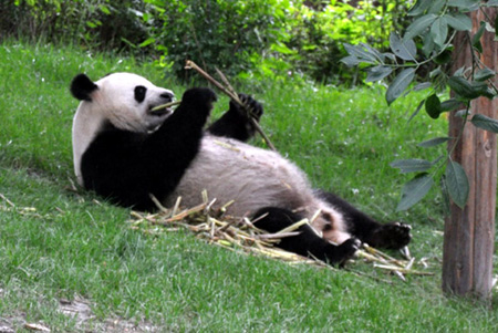 Images of China