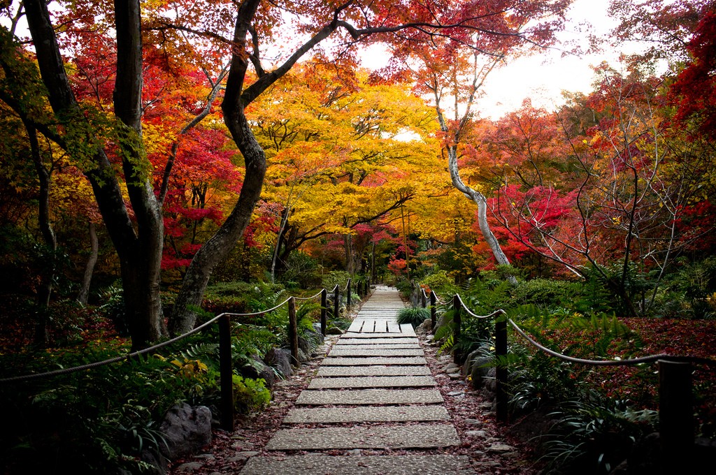 Autumn in Japan Magical Japan