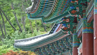 Visit Korea with Magical Korea tour operator