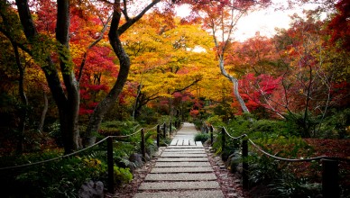 Autumn in Japan Magical Japan